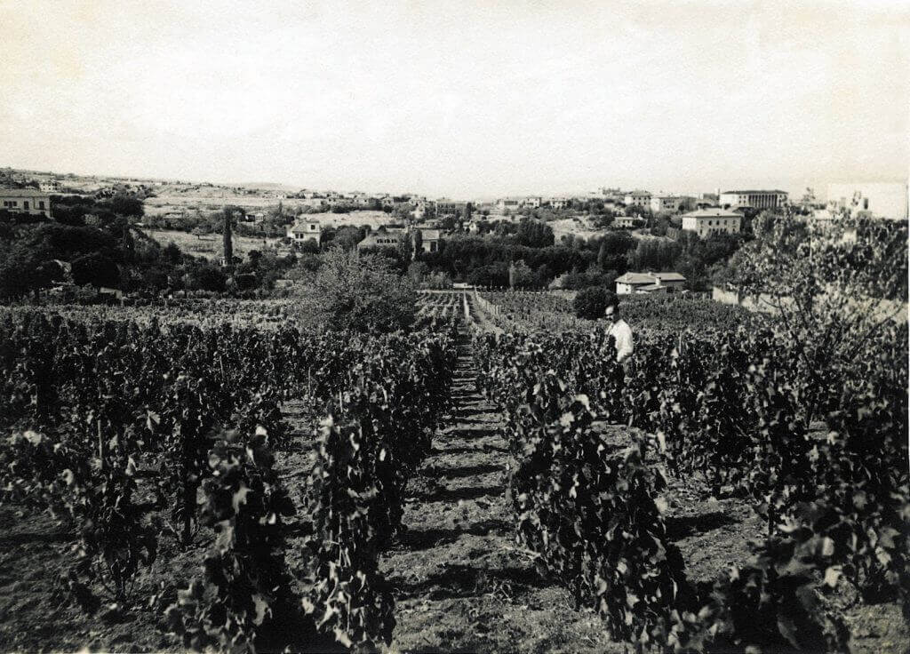 kavaklidere-weine-weinberge kavaklidere-weine-weinberge