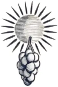 yeni-raki-giz-trauben