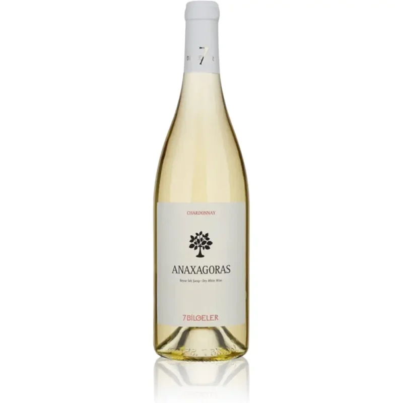 7Bilgeler Anaxagoras