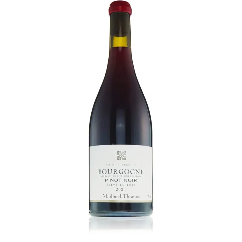 Moillard-Thomas Pinot Noir